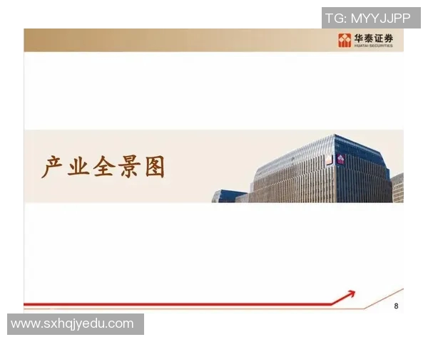 重庆篮球队包夹战术的创新与发展全景解析